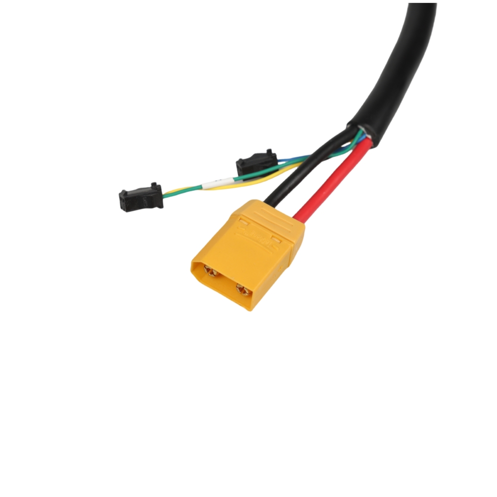 48V 60V e-rickshaw controller wire harness 12AWG