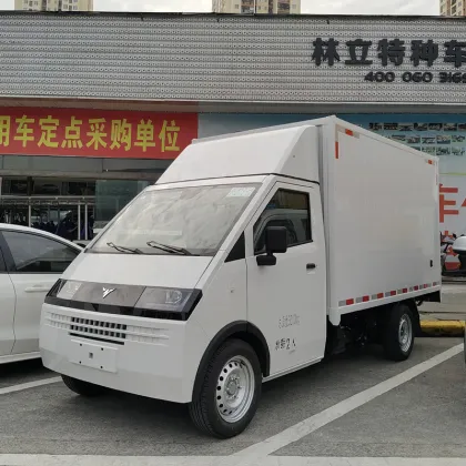 D08 Conventional van electric vehicle