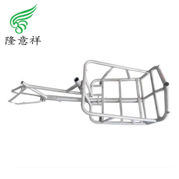 Two-wheeled frame for both passengers and cargo