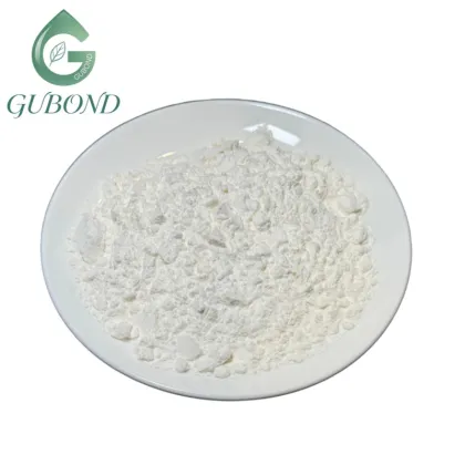 Lactobacillus bulgaricus Freeze-Dried Probiotic Powder