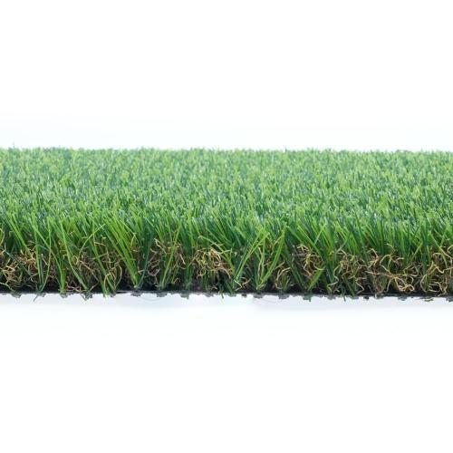 ຫຍ້າທຽມທີ່ນິຍົມສໍາລັບສວນຫຍ້າທີ່ສວຍງາມ