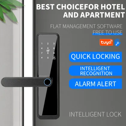 Tuya Smart Home Door Lock