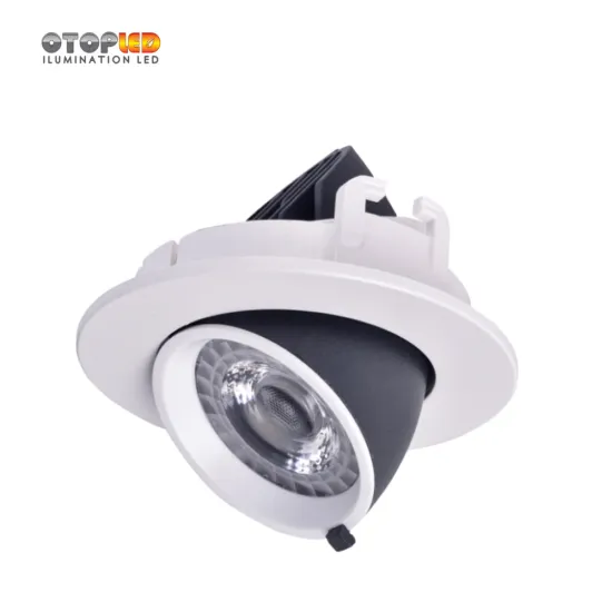 Led Downlight New Style Abjustable