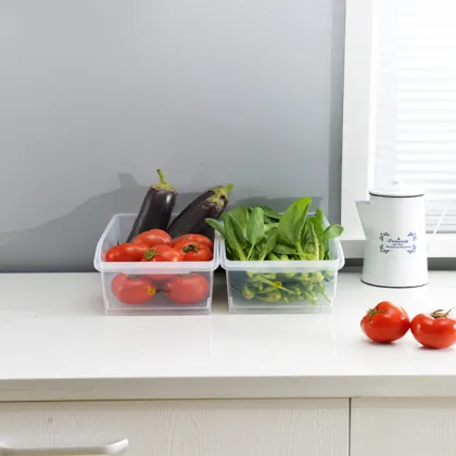 plastic refrigerator food storage box