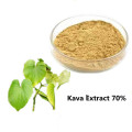 Buy online CAS84696-40-2 tablet kava root extract powder