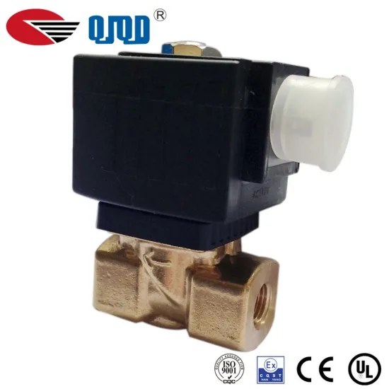 2-2 way direct-acting brass solenoid valve 24V with high quality