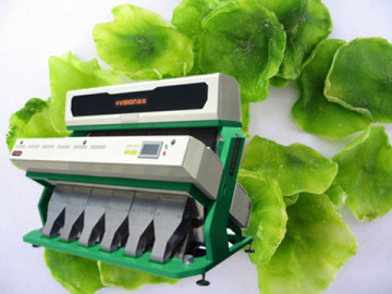 Vision Seeds Processing Machine, Raisin Color Sorter