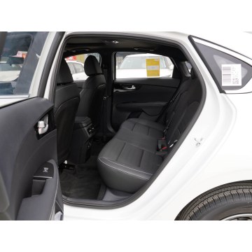 2024 KIA K3 gasoline sedan car