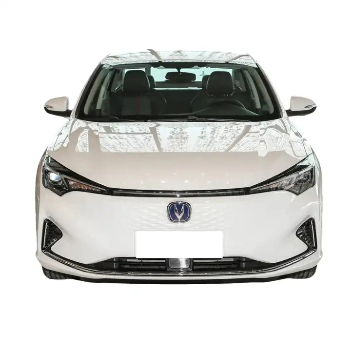 Cheap New Energy Vehicle 2024 Electric Vehicle