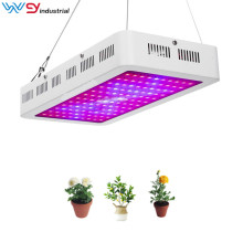 Cheap sale led grow lights 1500W 2000W