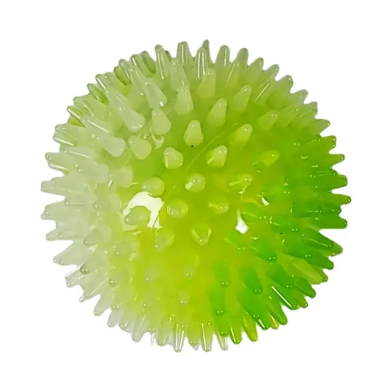 Glow in the Dark Squeaky TPR Dog Teeth Cleaning Ball Toy