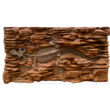 Fundo simulado de dinossauros fósseis PU