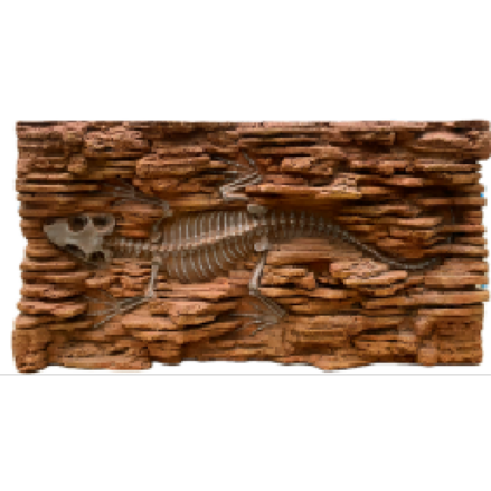 Fundo simulado de dinossauros fósseis PU