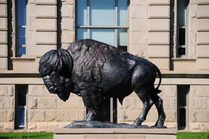 High quality garden decor bronze life size American bison statue