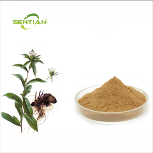 Chinese Atractylodes Lancea Root Extract