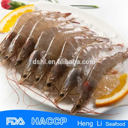 sea shrimp