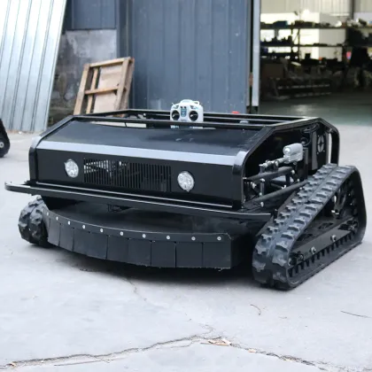 CE Certified EPA Remote Control Diesel Engine Gearbox and Ryobi Lawn Mower Parts