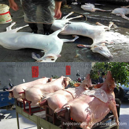 Pig and Sheep Hair Removal Machines for Livestock Slaughter