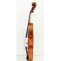 One Piece Back Master Violin