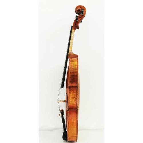 One Piece Back Master Violin