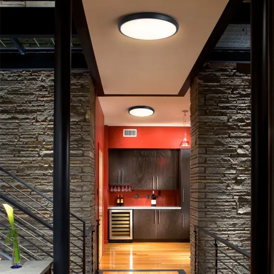 Modern IP65 Waterproof 20W LED Ceiling Lamp - Easy Install for Indoor/Outdoor