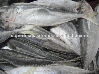 Frozen Seafood Mackerel