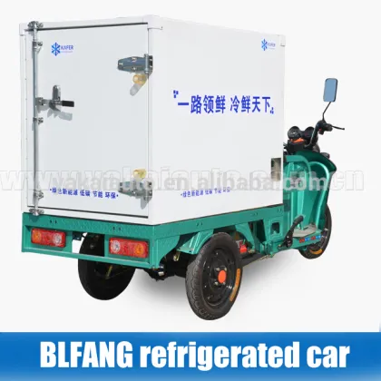 electrical reefer piaggio ape/ tuk-tuk/ tricycle for vegetable transportation