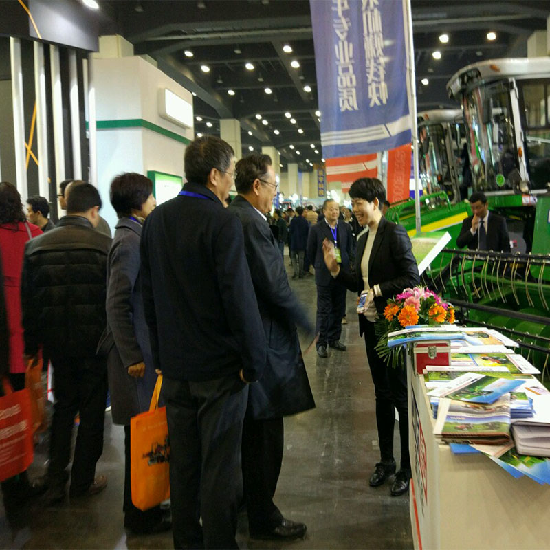 Zhengzhou Fair 02