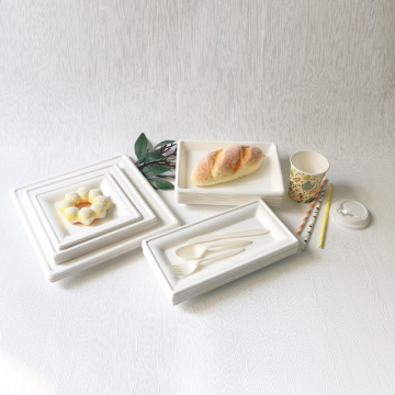 Bagasse Serving Rectangular Tray Sugarcane Pulp tray