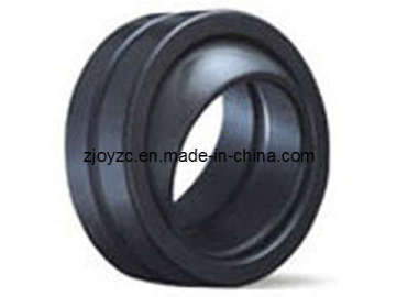 Radial Bearing