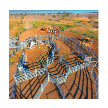 Galvanized Freestanding Cattle Panels - Cheap High Quality Feeder Panels