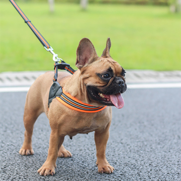 neoprene comfort pet dog collar and leash