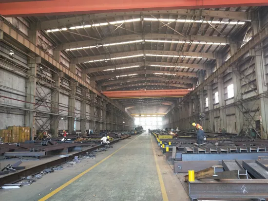 Steel Structure Project Specialist Contractor for Building