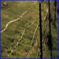 Galvanized barbed wire price per roll barbed fence