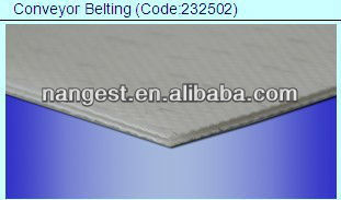 PE Conveyor Belting for Food Industry