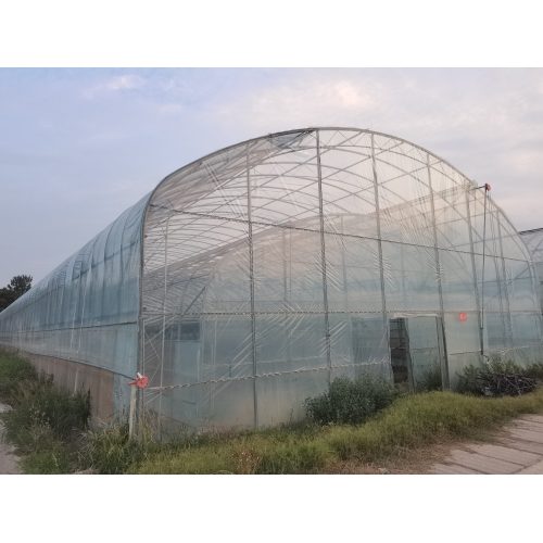 Dual Arch Double Film Single Shed
