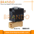 Elettrovalvola a solenoide per elettrodomestici con riscaldatore in ottone da 1/8 &#39;&#39; NPT