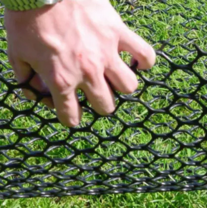 Glass Turf Reinforcement Plastic Netting Products