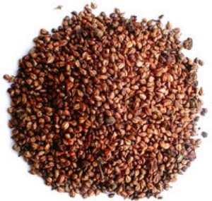 Grape Seed Extract, Polyphenols,Polyphenols95%