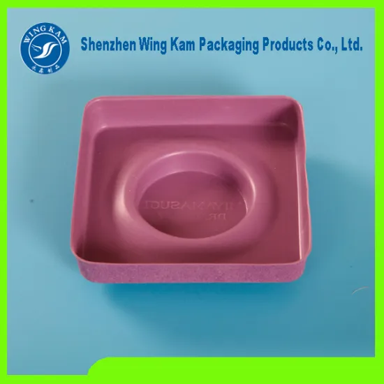 Custom Clean Vacuum Formed Blister Tray