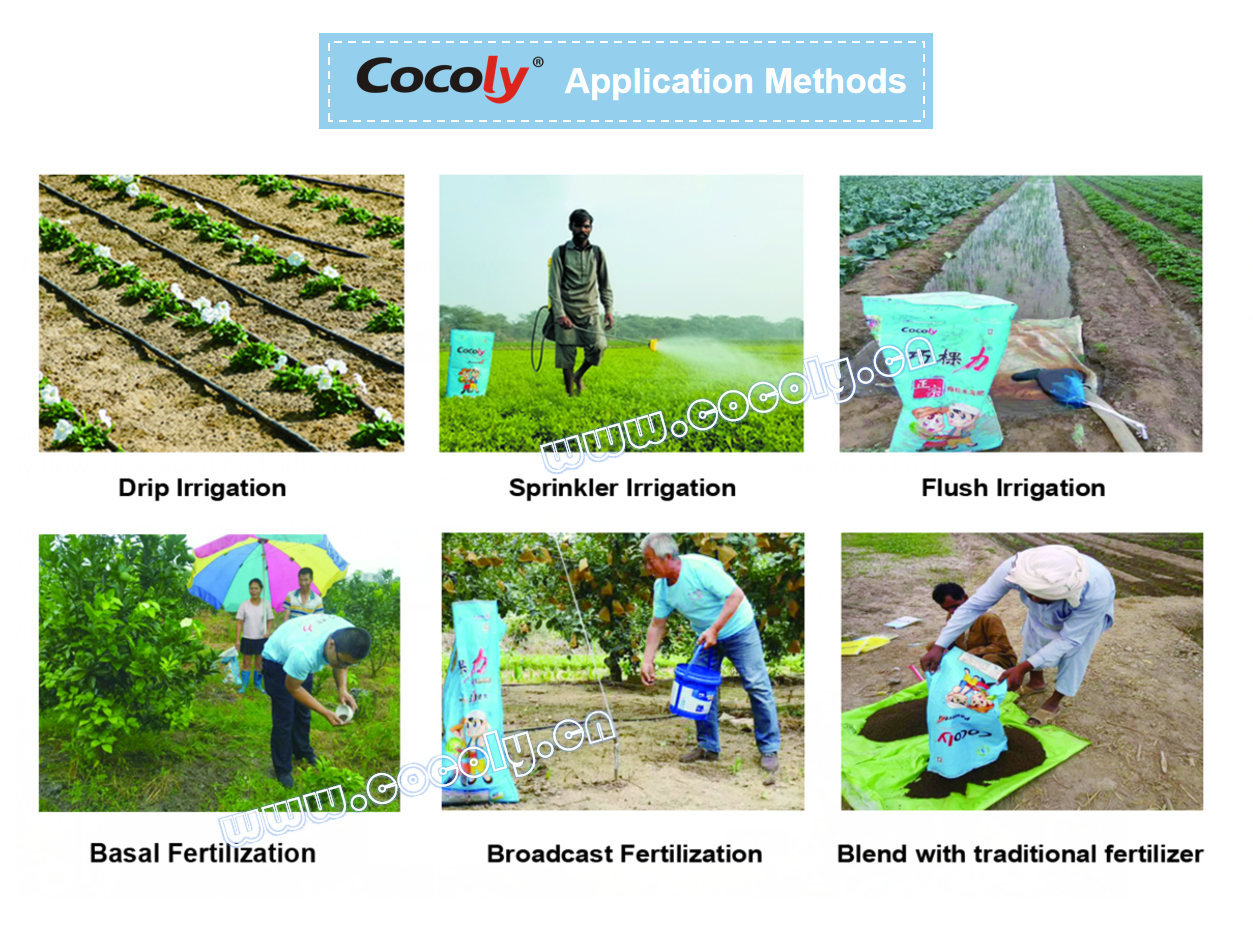 application  cocoly granular water soluble fertilizer product