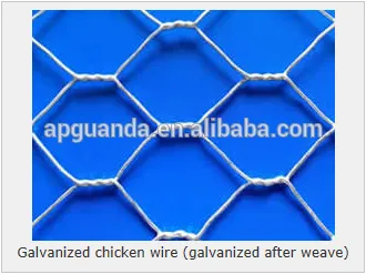Galvanized chicken wire protects your garden and chicken fence