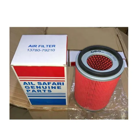 Quick Delivery High-Quality Custom Air Filters for Carry