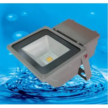 70W LED Flood Light With Cheaper Price