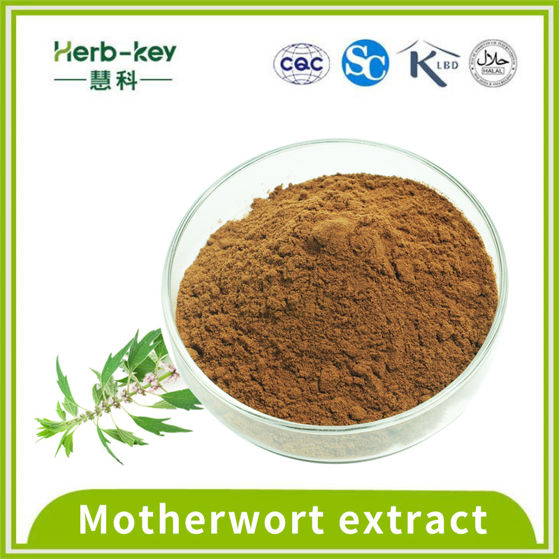 Extrato de Motherwort 98% de cloridrato de estachidrina