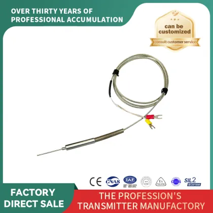 Needle-shaped special thermal resistance lead