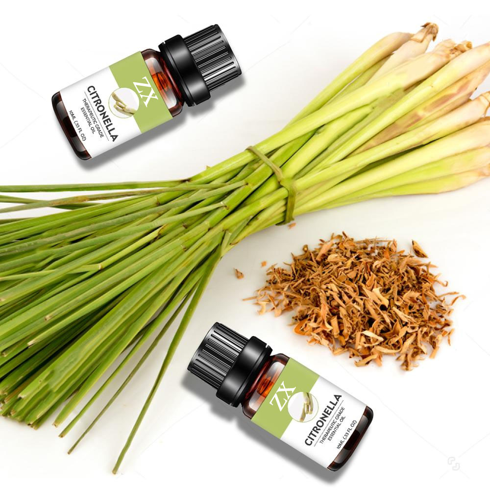 citronella oil bulk