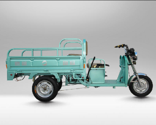 1.5m Powerful E-Trike/E-Tricycle/3-Wheel Truck (TJT-44)