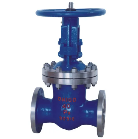 Power Station Gate Valve