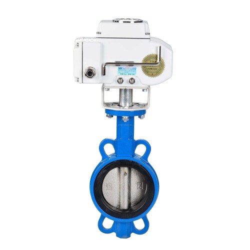 Stainless Steel 2 Inch Butterfly Valve